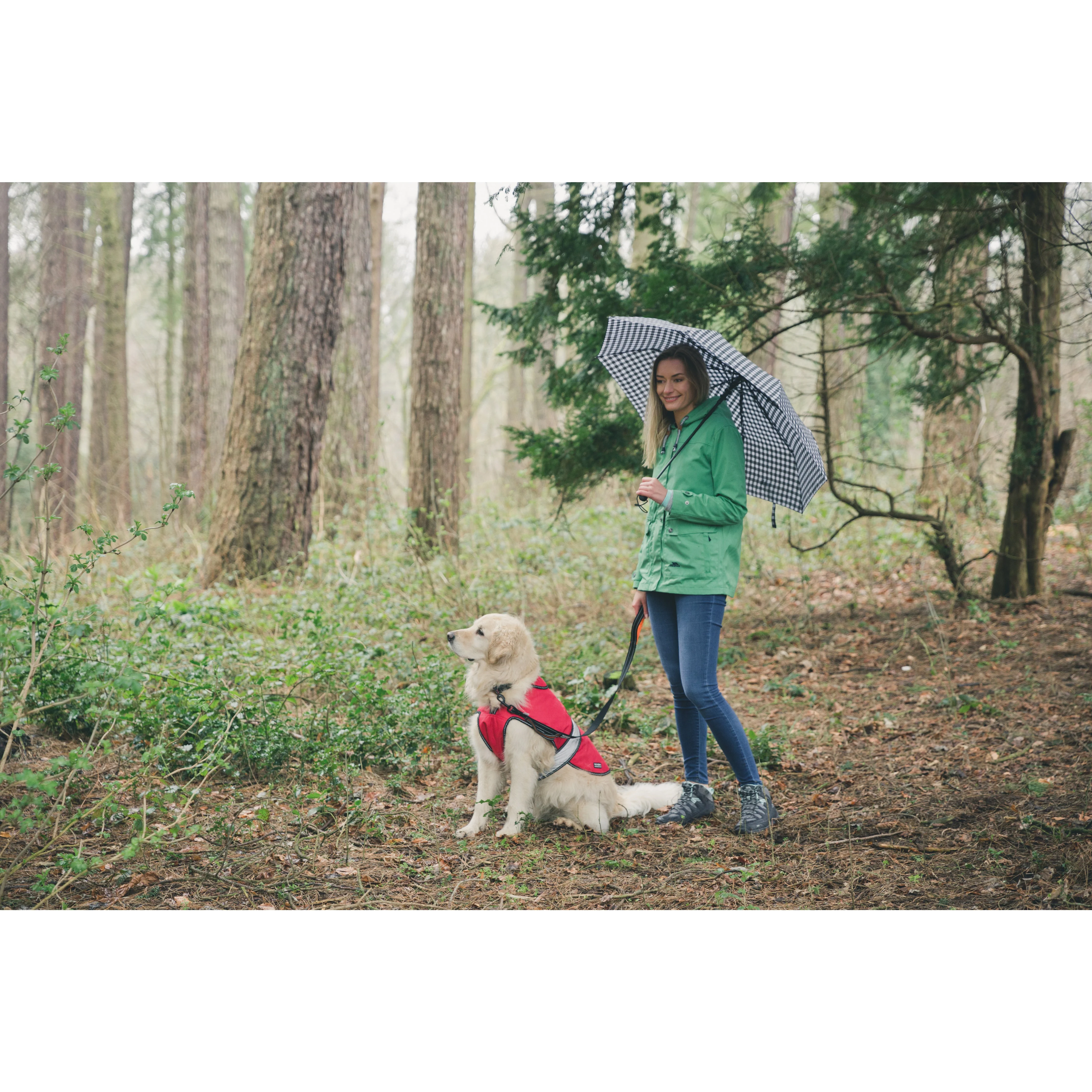 Brolli Compact Umbrella in Black Check - Image 3