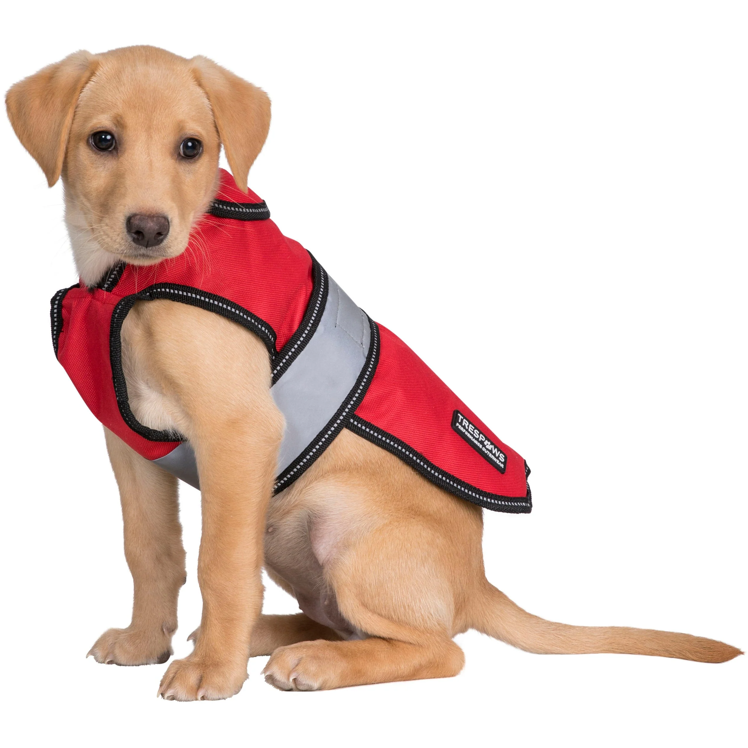 Duke-X 2 In 1 Waterproof Dog Jacket With Inner Fleece - Image 12
