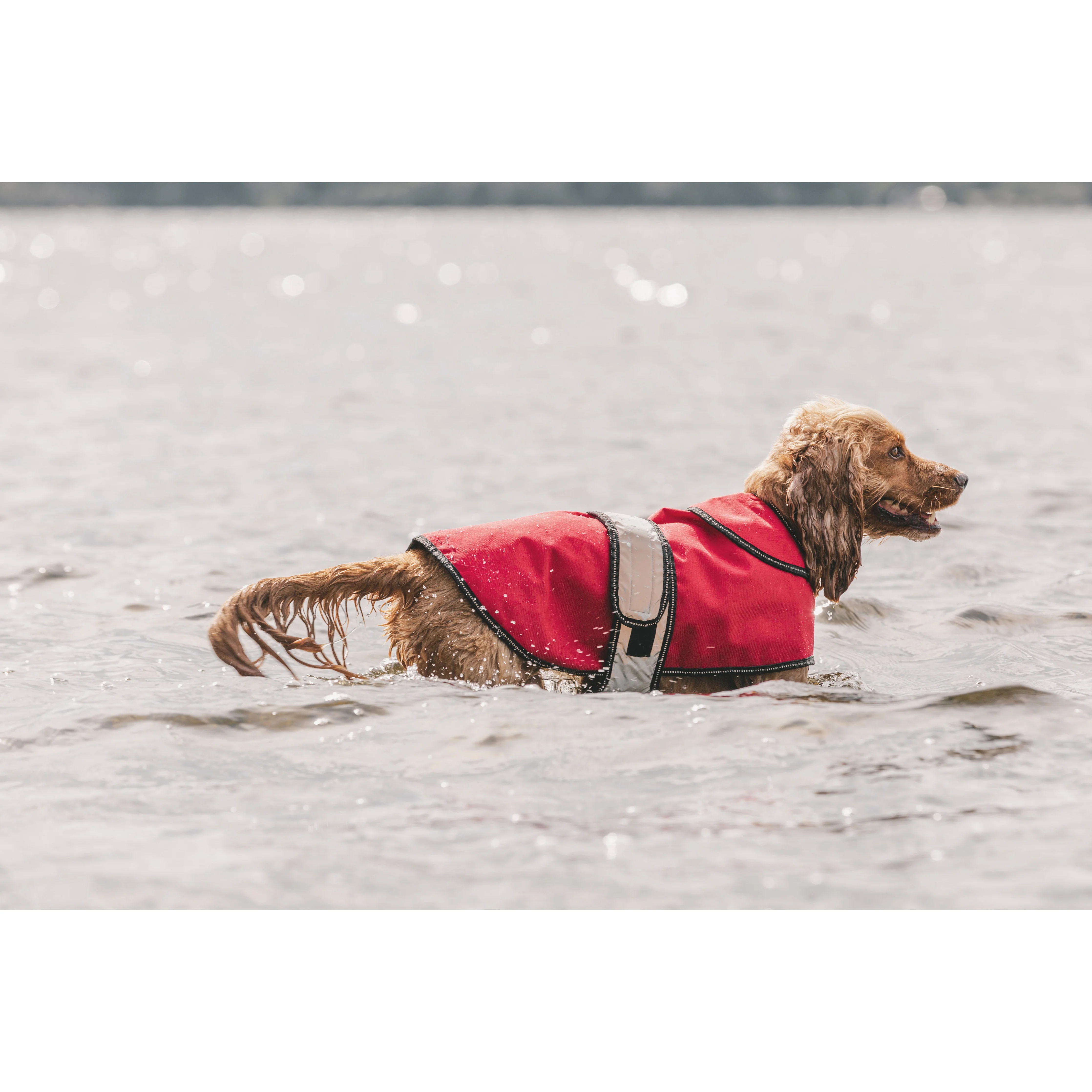 Duke-X 2 In 1 Waterproof Dog Jacket With Inner Fleece - Image 20