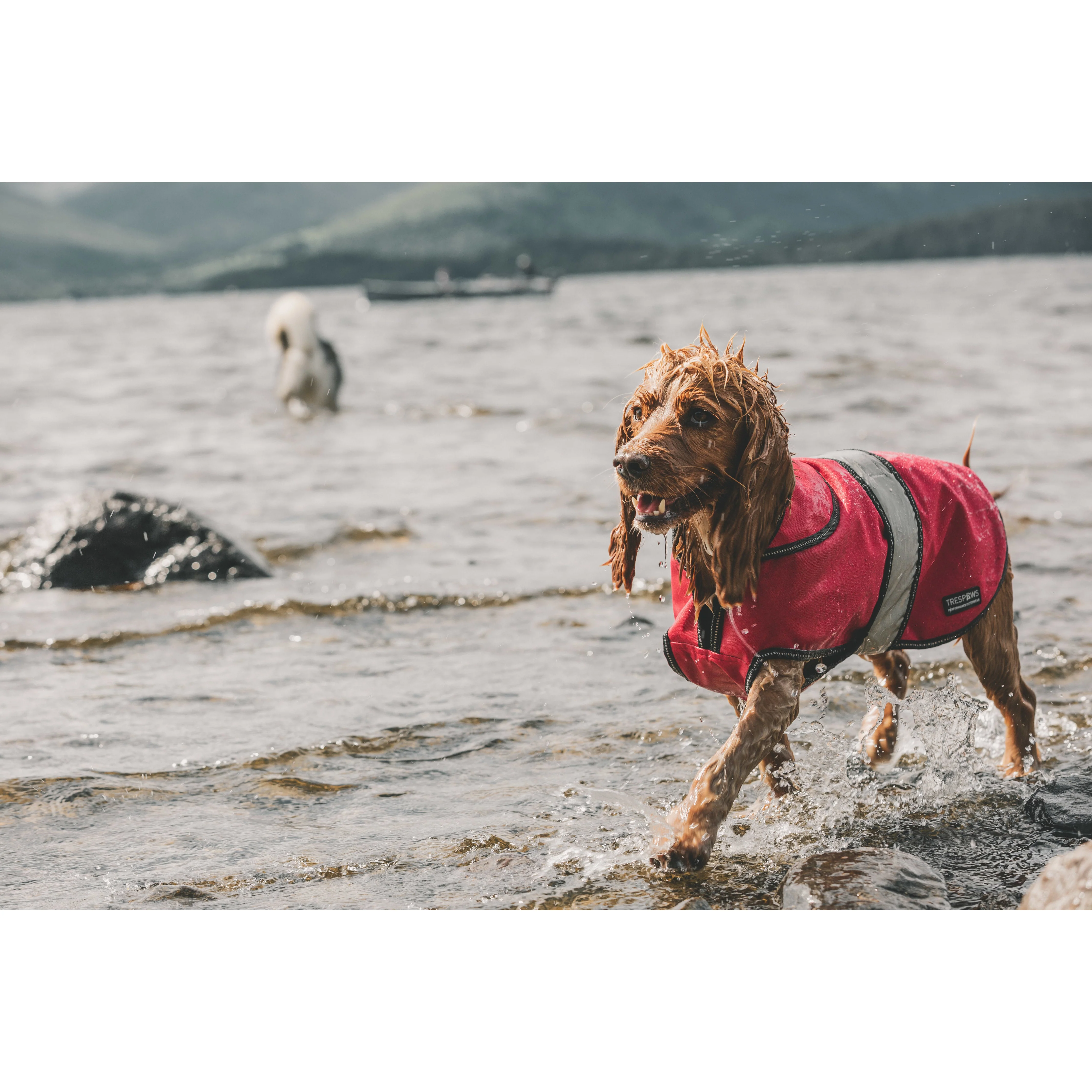 Duke-X 2 In 1 Waterproof Dog Jacket With Inner Fleece - Image 21