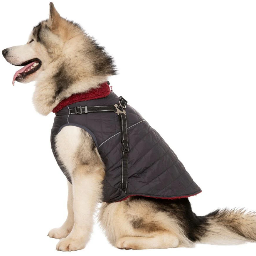 Hercules - Windproof 2 In 1 Dog Jacket With Harness - Image 10