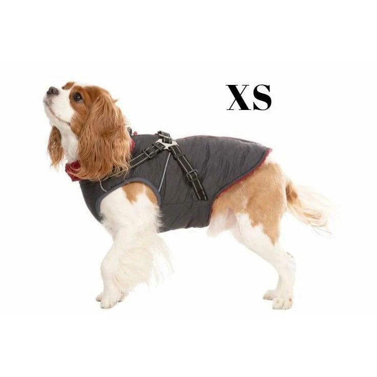 Hercules - Windproof 2 In 1 Dog Jacket With Harness - Image 3