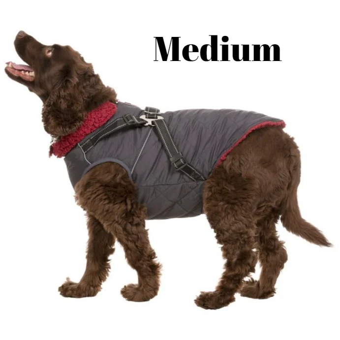 Hercules - Windproof 2 In 1 Dog Jacket With Harness - Image 5