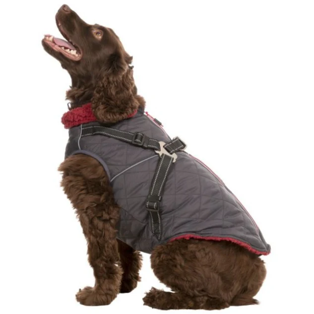 Hercules - Windproof 2 In 1 Dog Jacket With Harness - Image 8