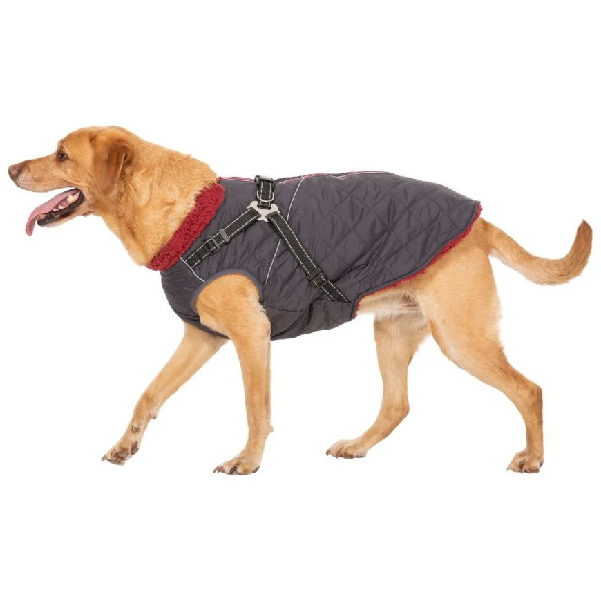 Hercules - Windproof 2 In 1 Dog Jacket With Harness - Image 9