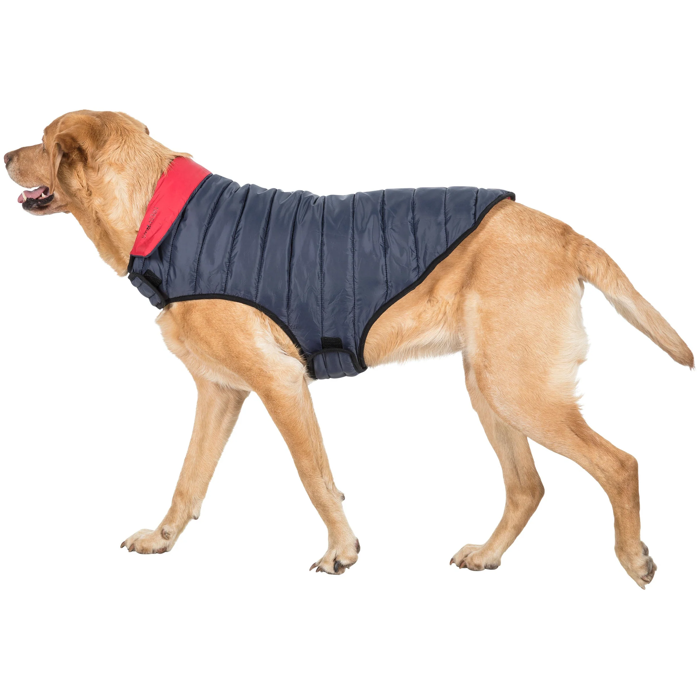 Kimmi Quilted Reversible Packaway Dog Coat - Flint - Image 11