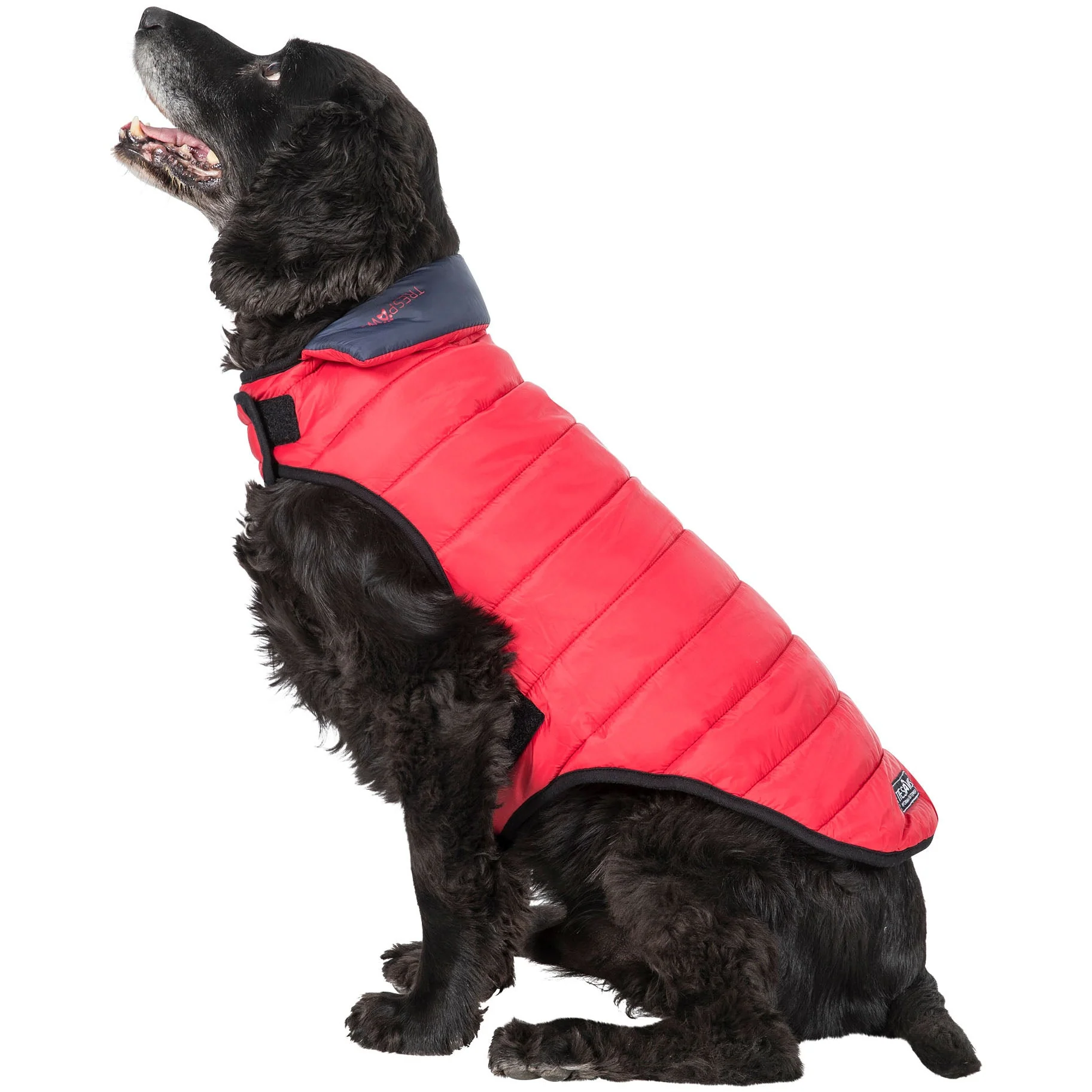 Kimmi Quilted Reversible Packaway Dog Coat - Flint - Image 12