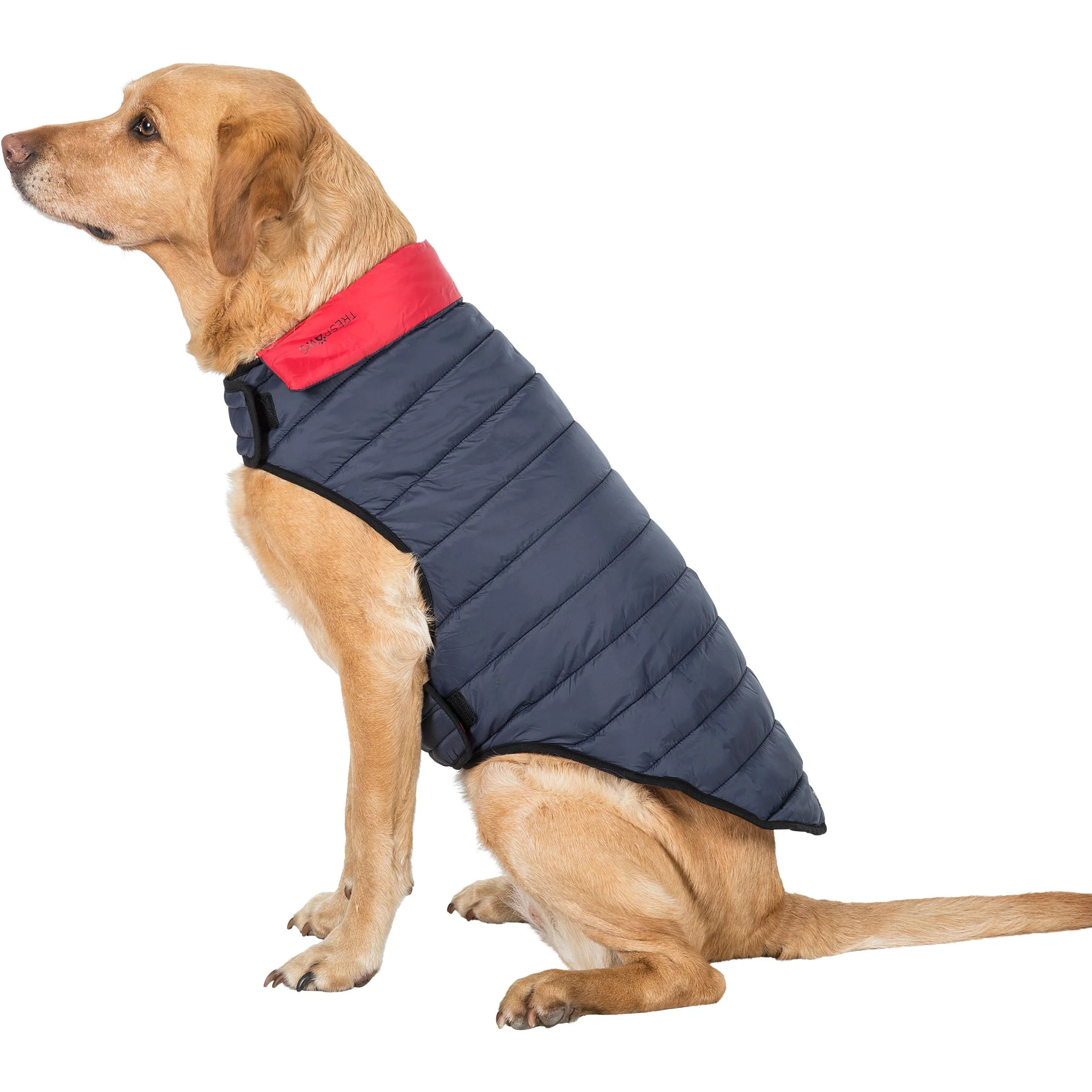 Kimmi Quilted Reversible Packaway Dog Coat - Flint - Image 13