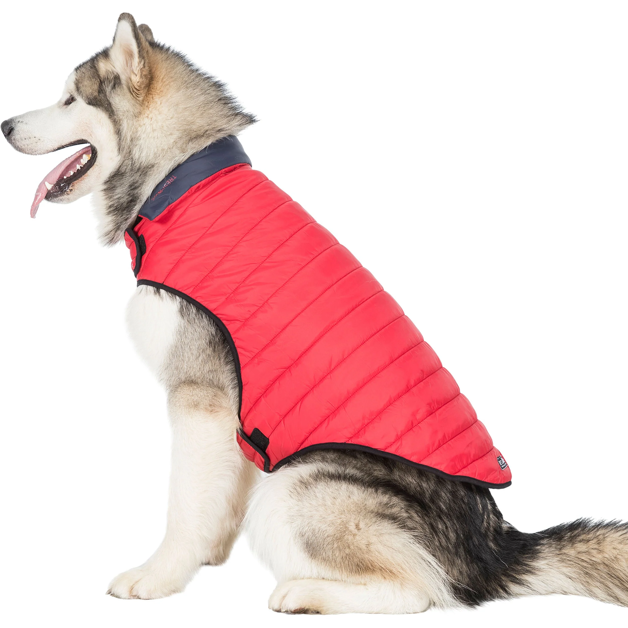 Kimmi Quilted Reversible Packaway Dog Coat - Flint - Image 14