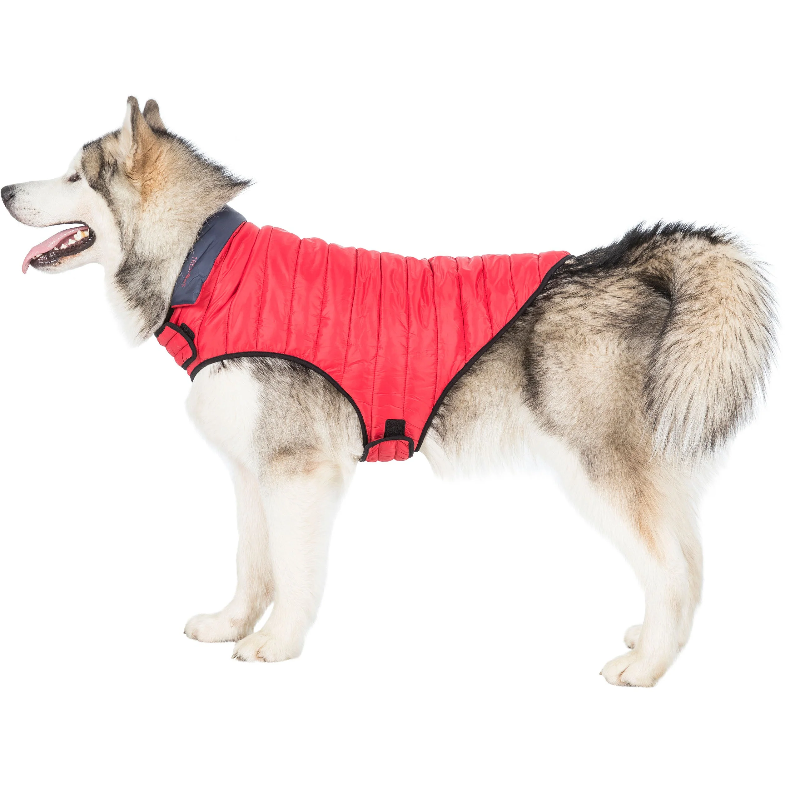 Kimmi Quilted Reversible Packaway Dog Coat - Flint - Image 15