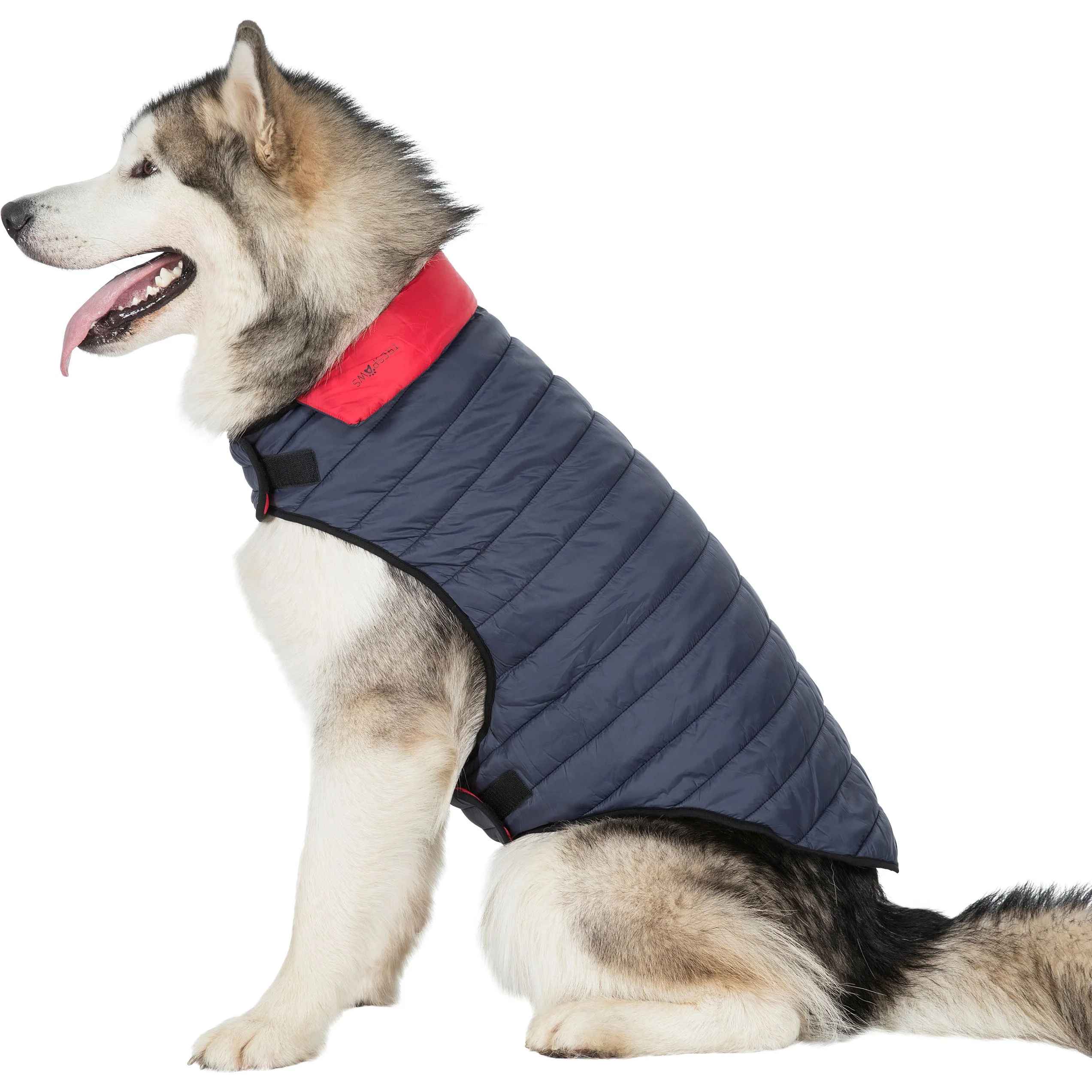 Kimmi Quilted Reversible Packaway Dog Coat - Flint - Image 16