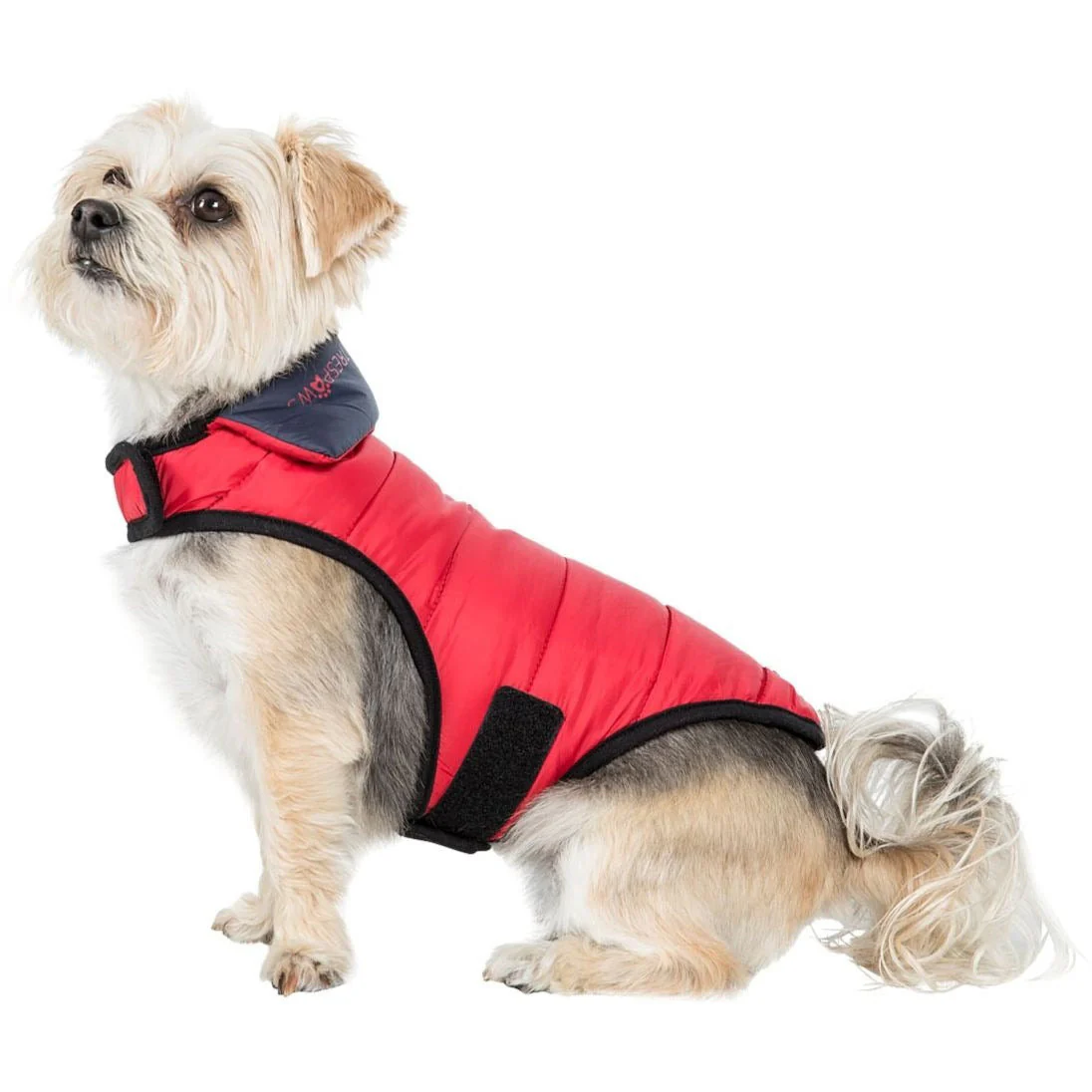 Kimmi Quilted Reversible Packaway Dog Coat - Flint - Image 19