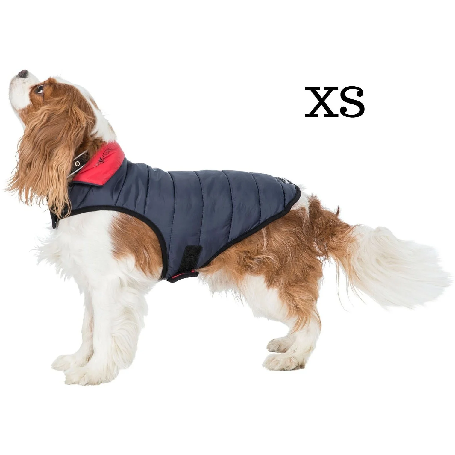 Kimmi Quilted Reversible Packaway Dog Coat - Flint - Image 2