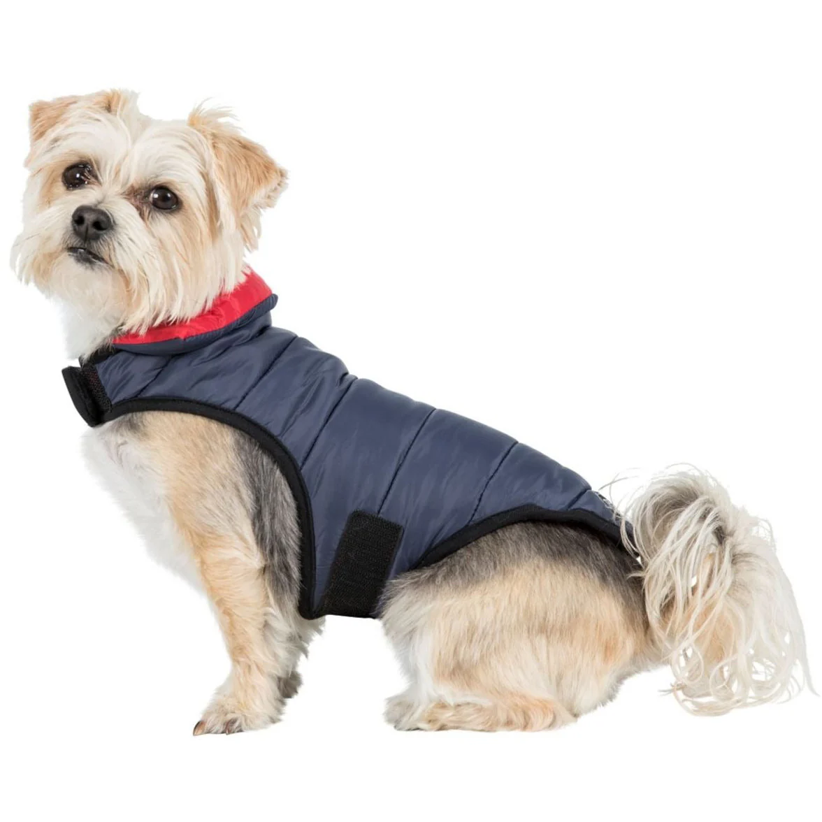 Kimmi Quilted Reversible Packaway Dog Coat - Flint - Image 20