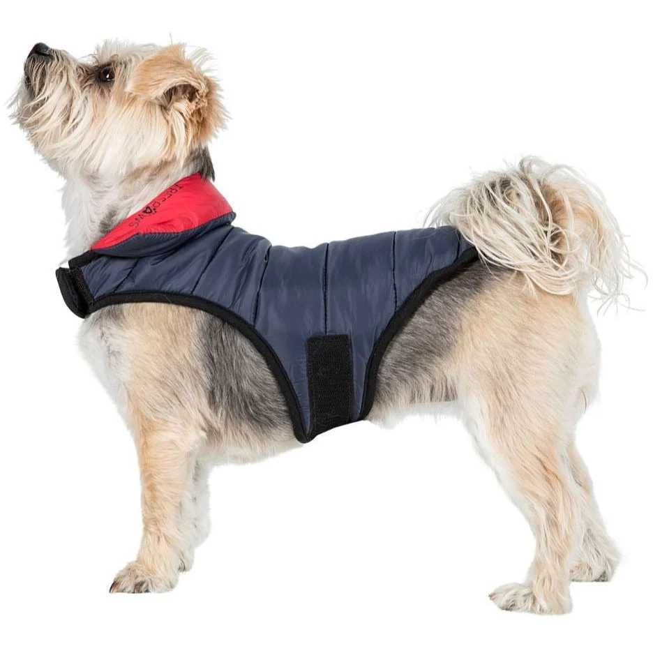 Kimmi Quilted Reversible Packaway Dog Coat - Flint - Image 21