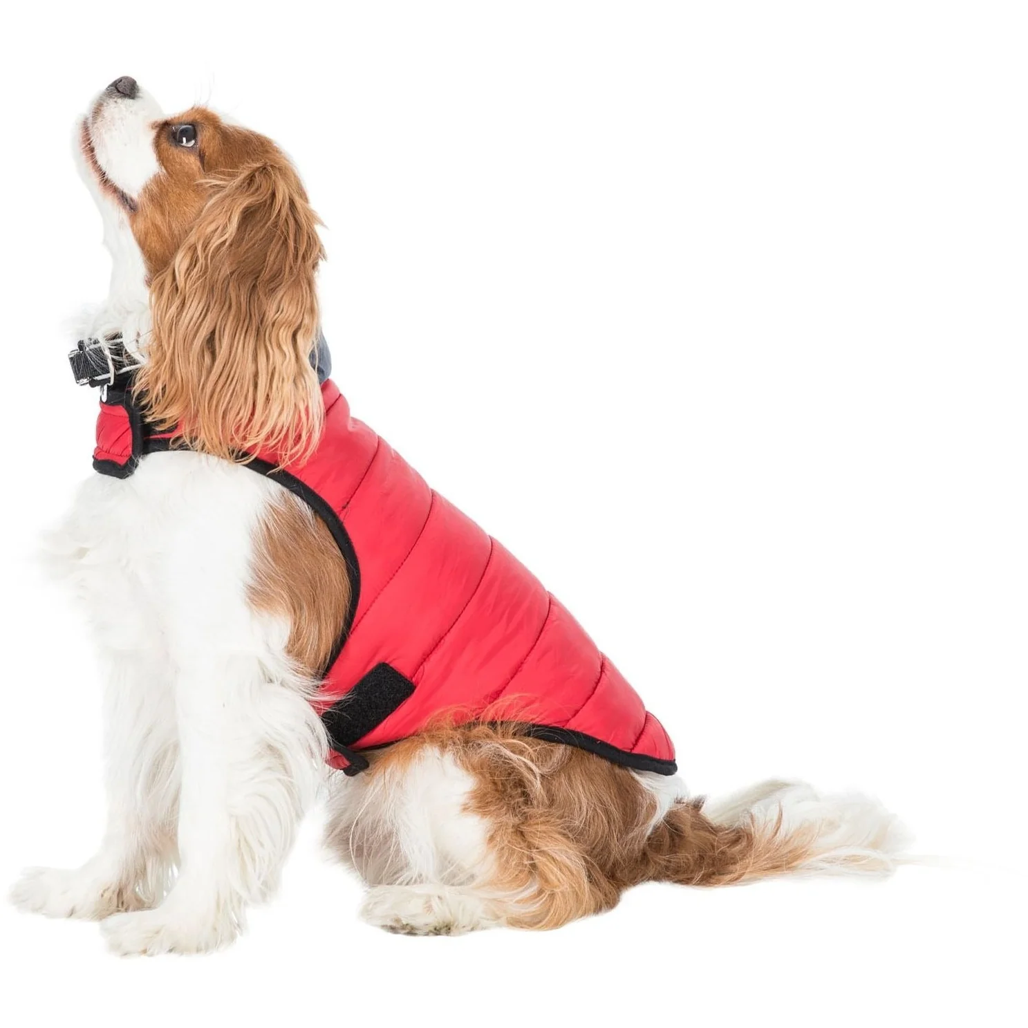 Kimmi Quilted Reversible Packaway Dog Coat - Flint - Image 22