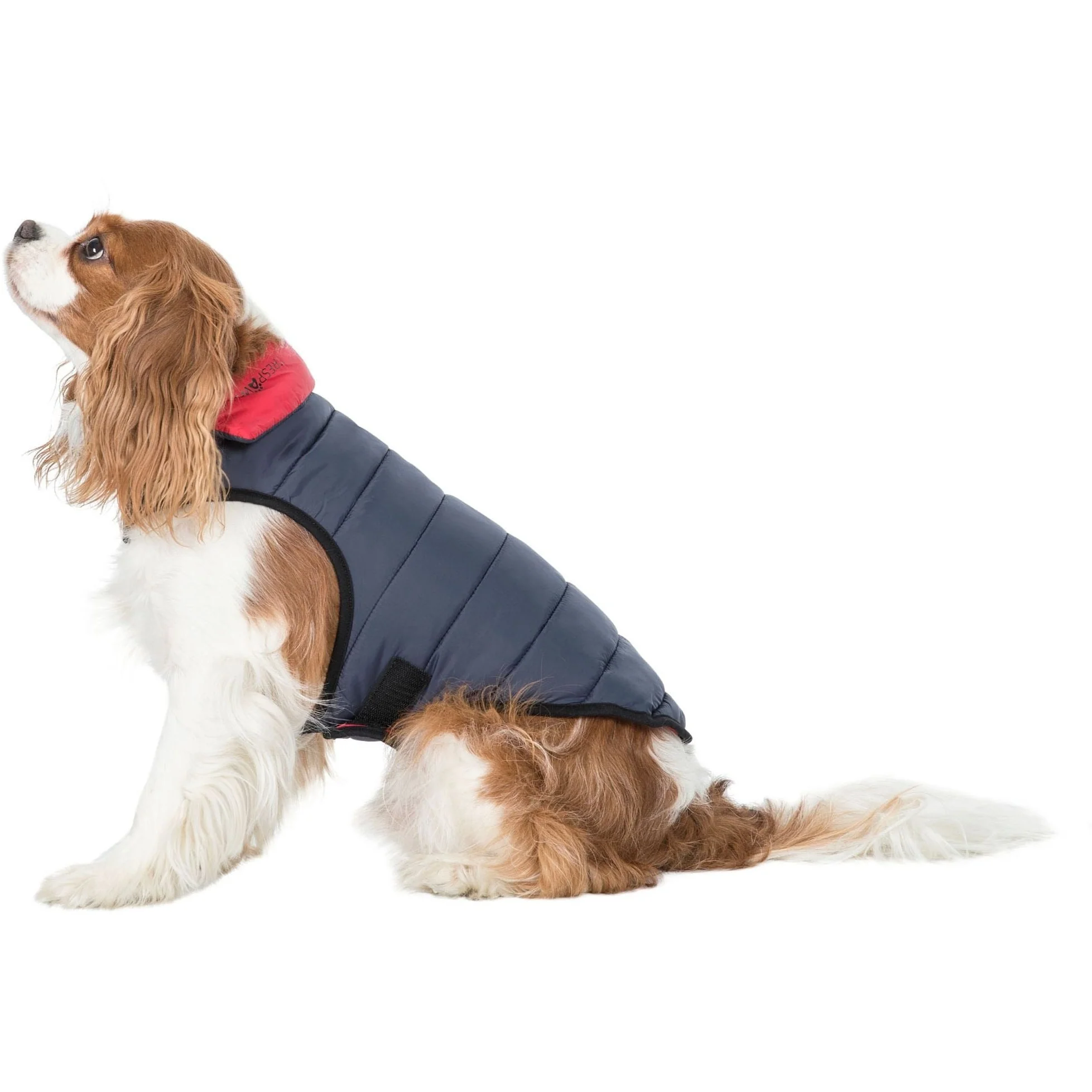 Kimmi Quilted Reversible Packaway Dog Coat - Flint - Image 23