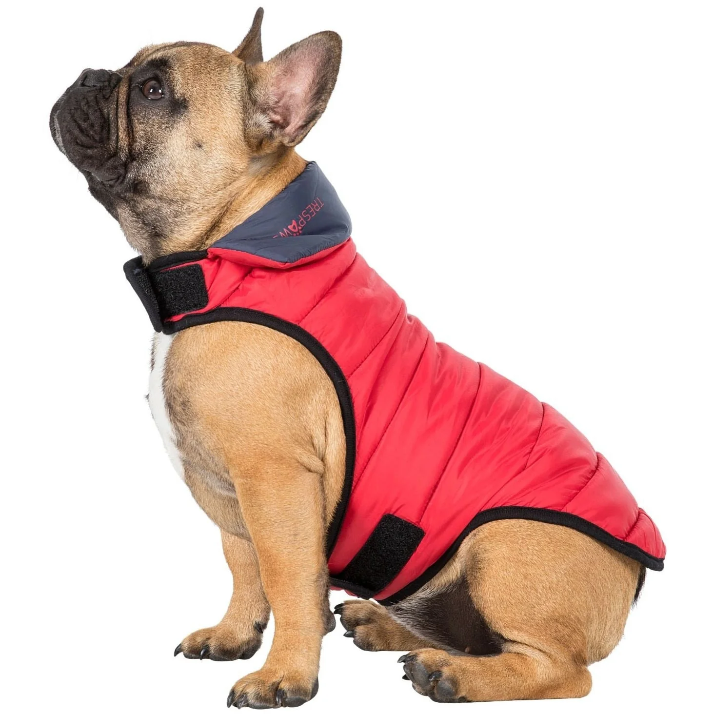 Kimmi Quilted Reversible Packaway Dog Coat - Flint - Image 24