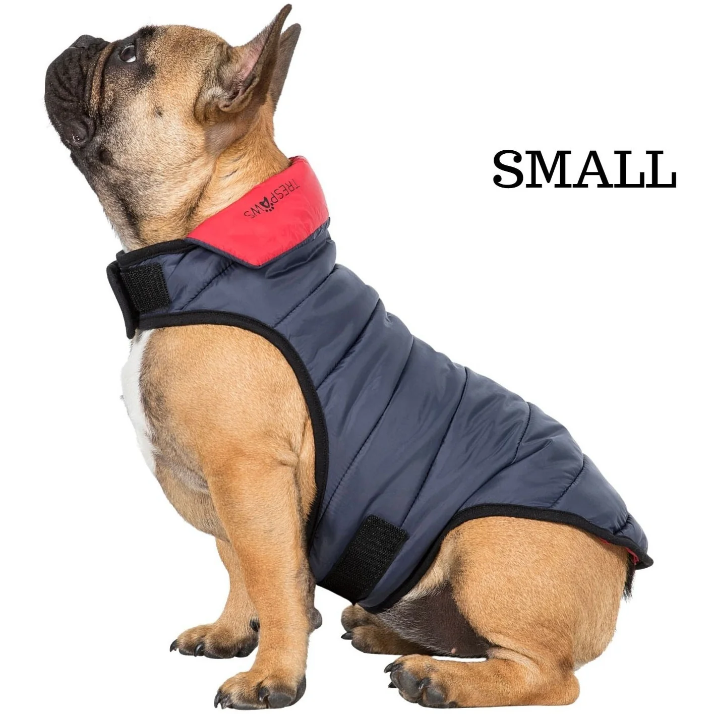Kimmi Quilted Reversible Packaway Dog Coat - Flint - Image 3