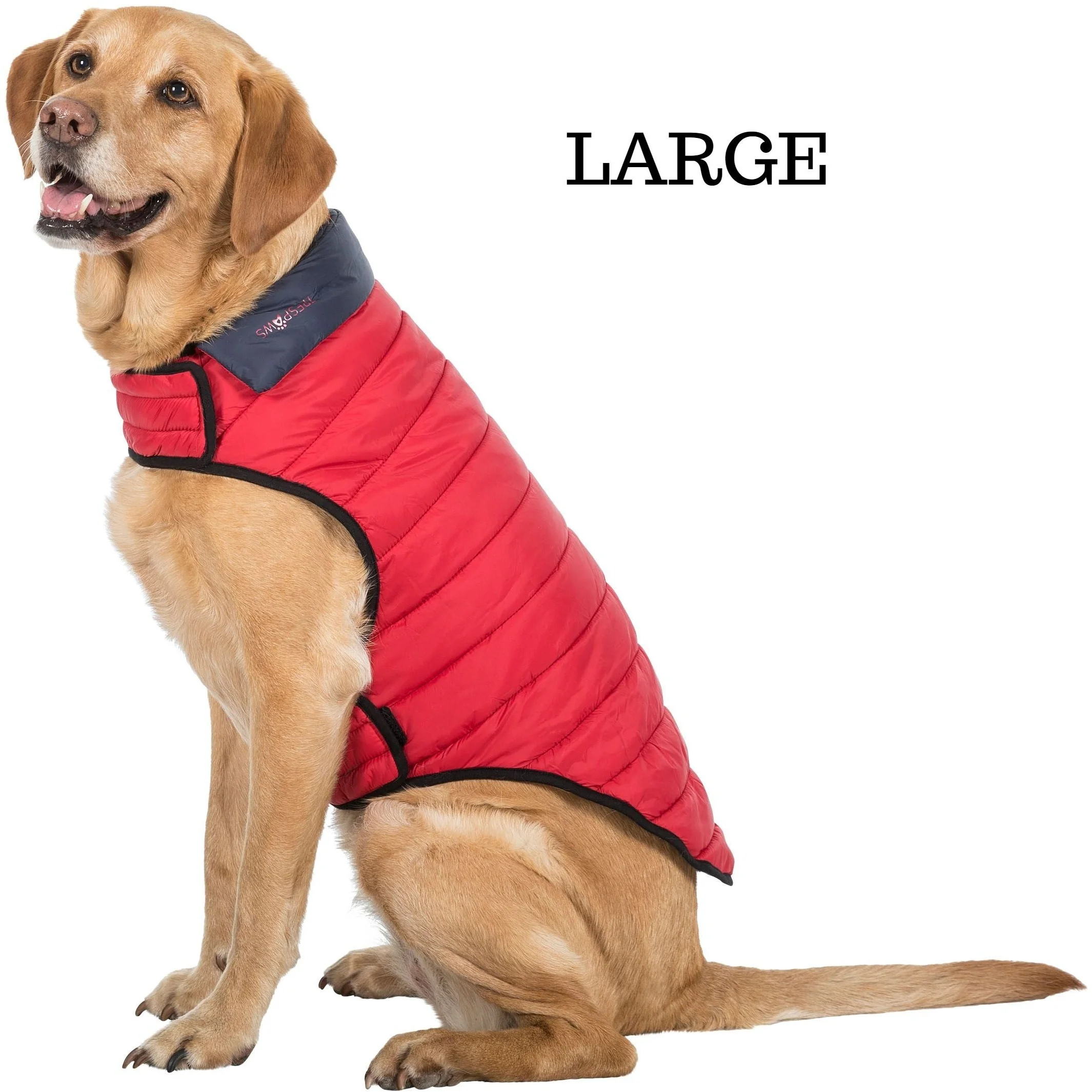 Kimmi Quilted Reversible Packaway Dog Coat - Flint - Image 5