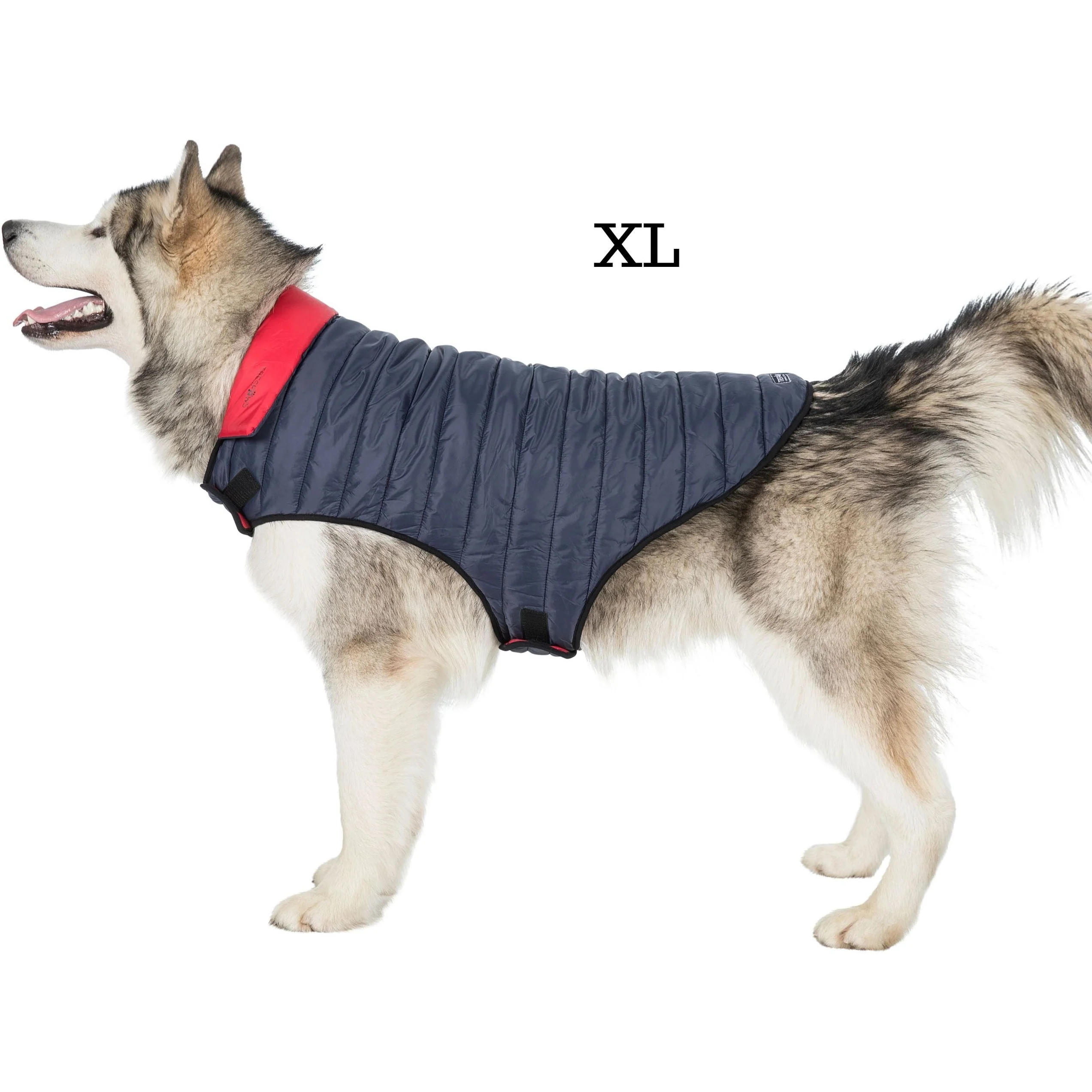 Kimmi Quilted Reversible Packaway Dog Coat - Flint - Image 6