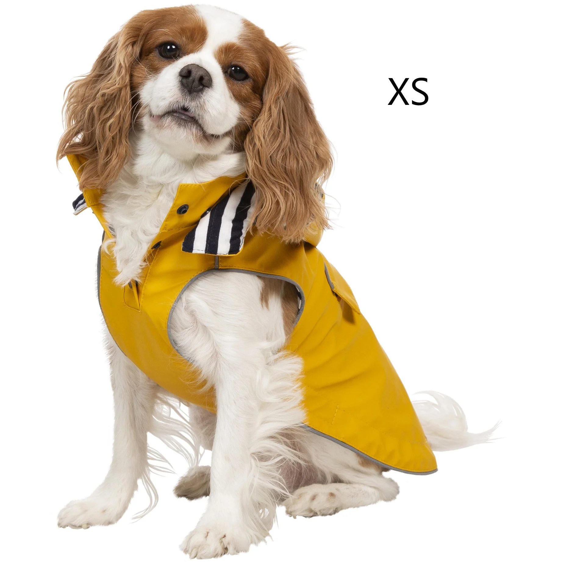Seadog Dog Raincoat in Sunshine Yellow - Image 10