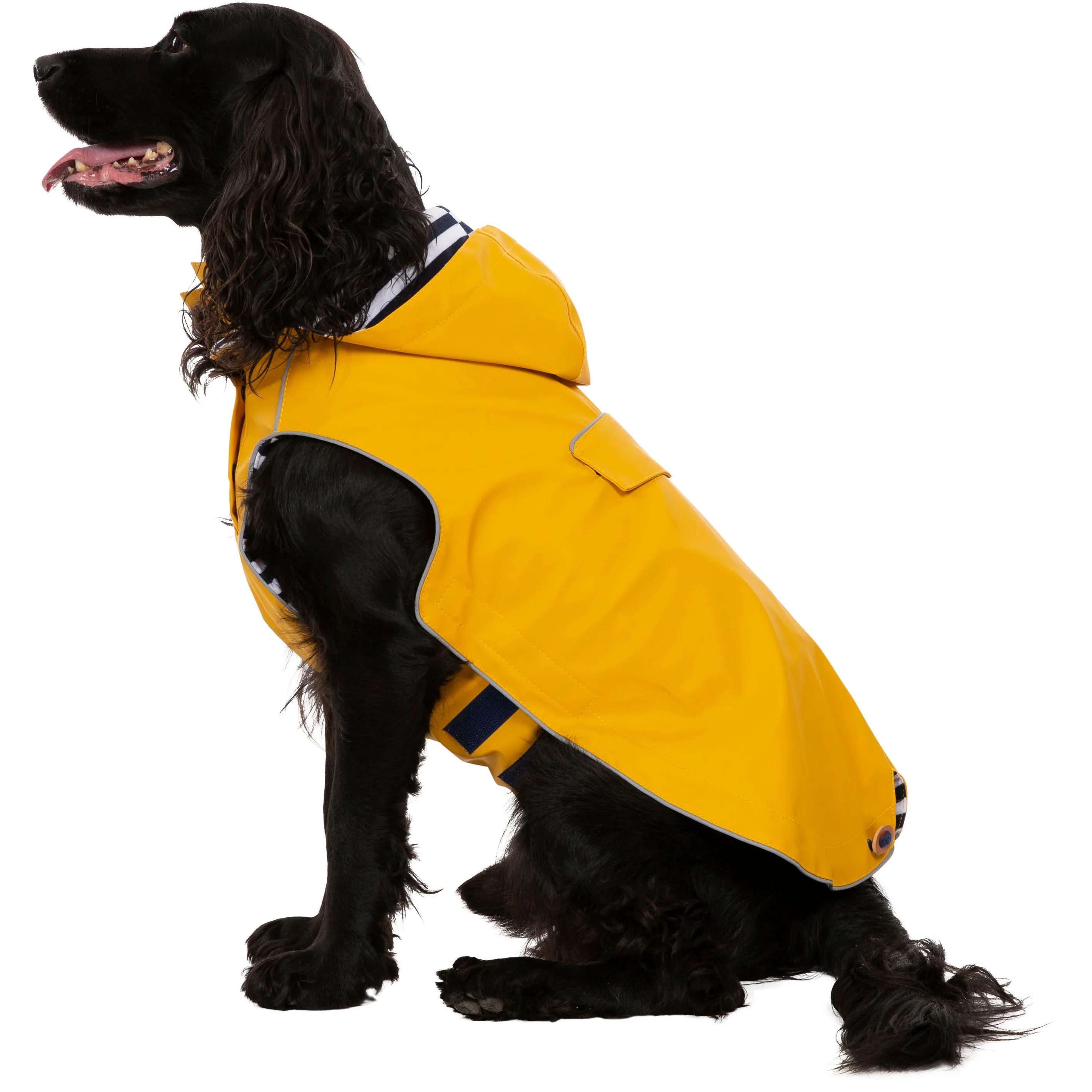 Seadog Dog Raincoat in Sunshine Yellow - Image 12
