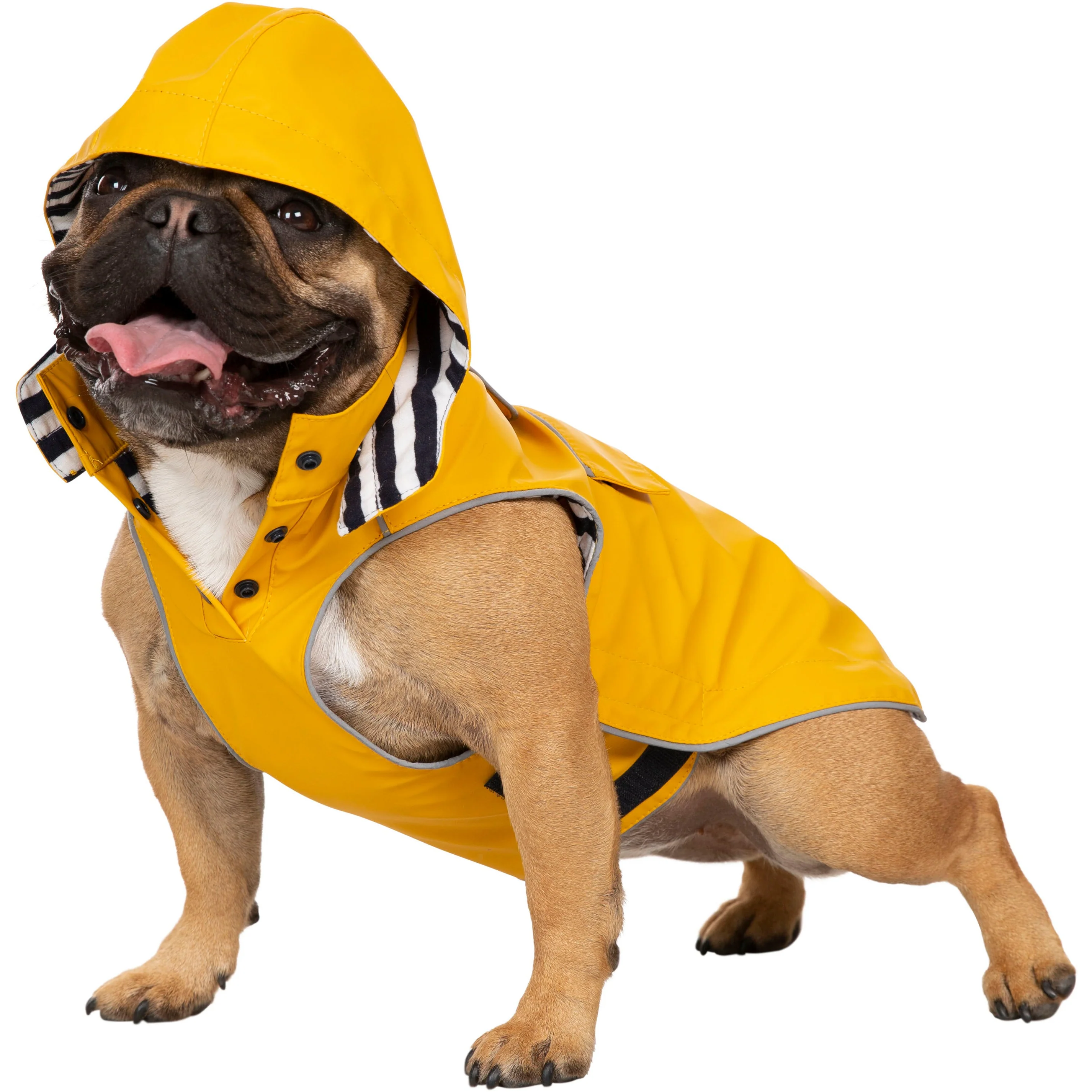 Seadog Dog Raincoat in Sunshine Yellow - Image 13