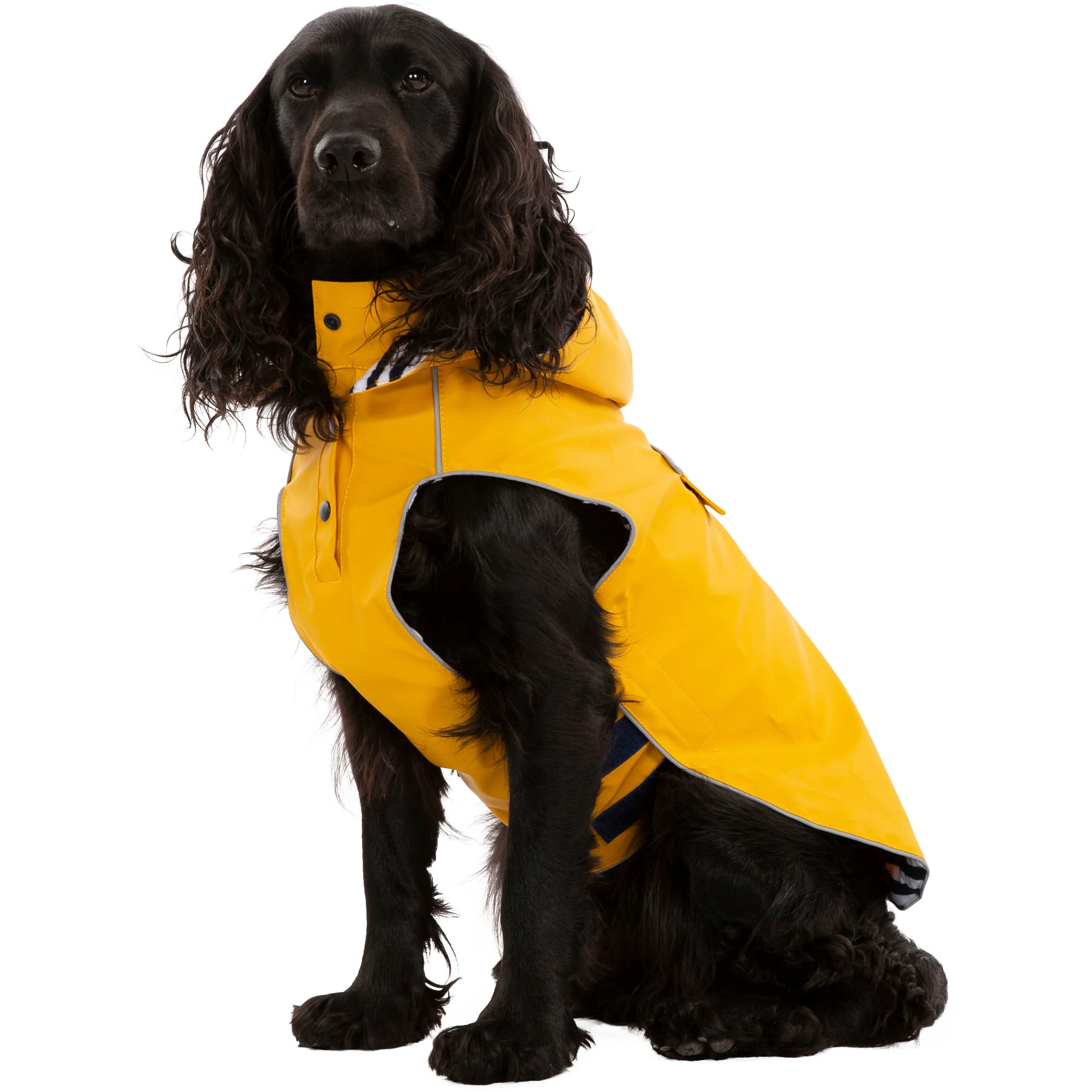 Seadog Dog Raincoat in Sunshine Yellow - Image 14