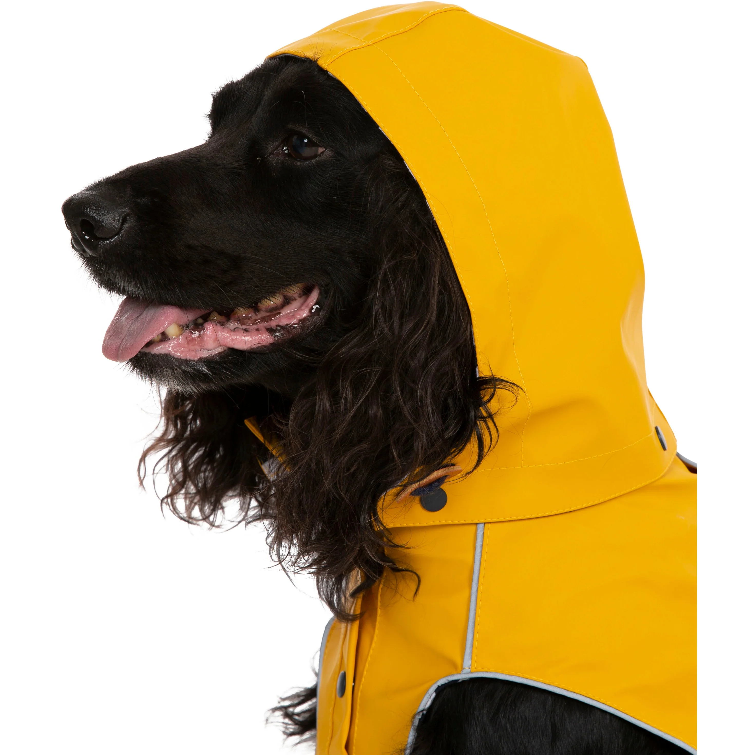 Seadog Dog Raincoat in Sunshine Yellow - Image 15