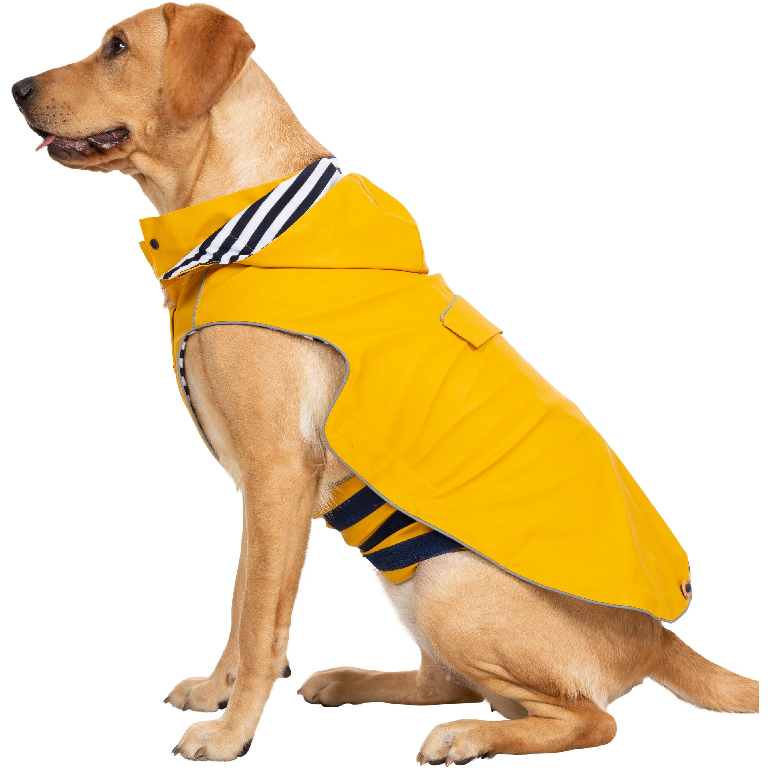 Seadog Dog Raincoat in Sunshine Yellow - Image 16
