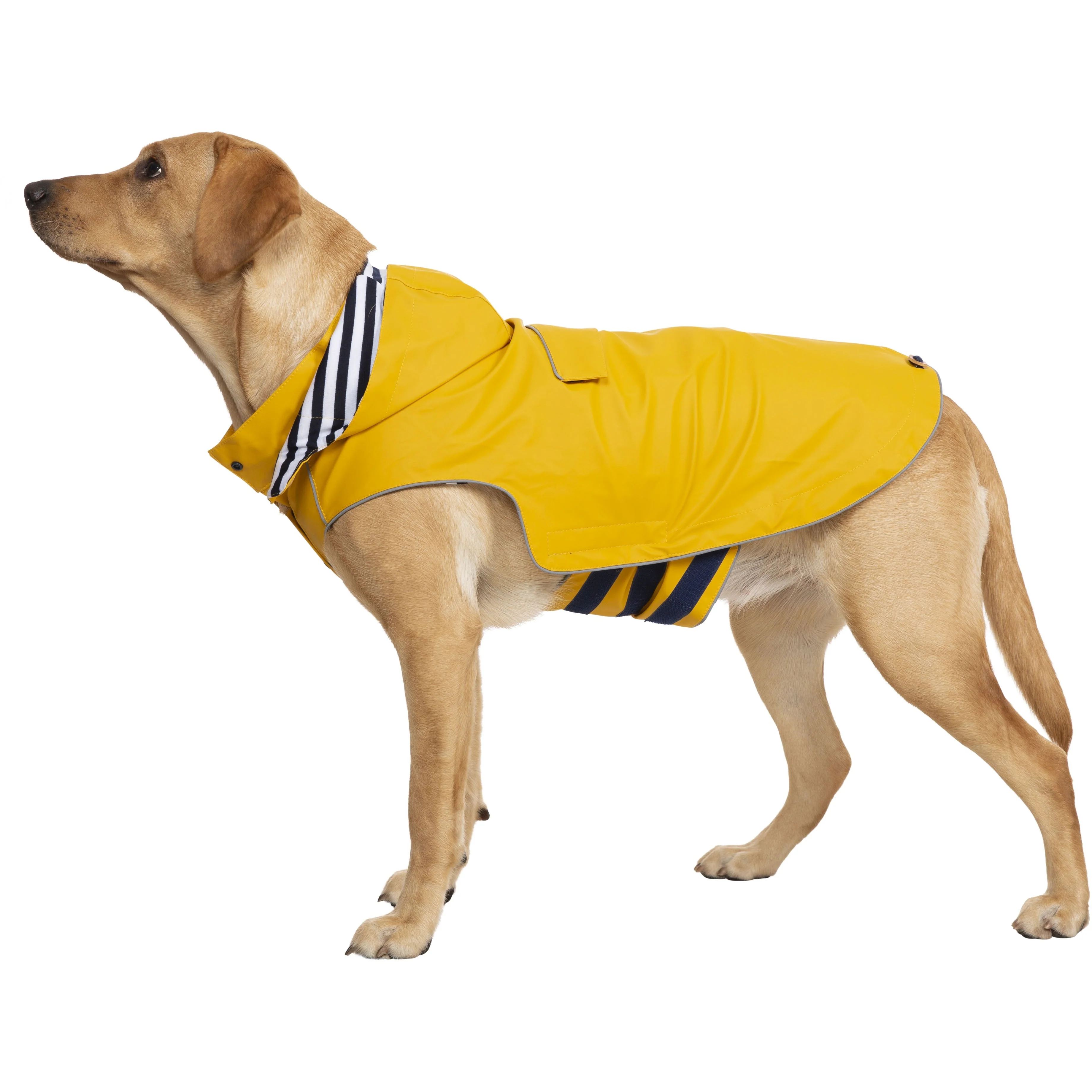 Seadog Dog Raincoat in Sunshine Yellow - Image 17