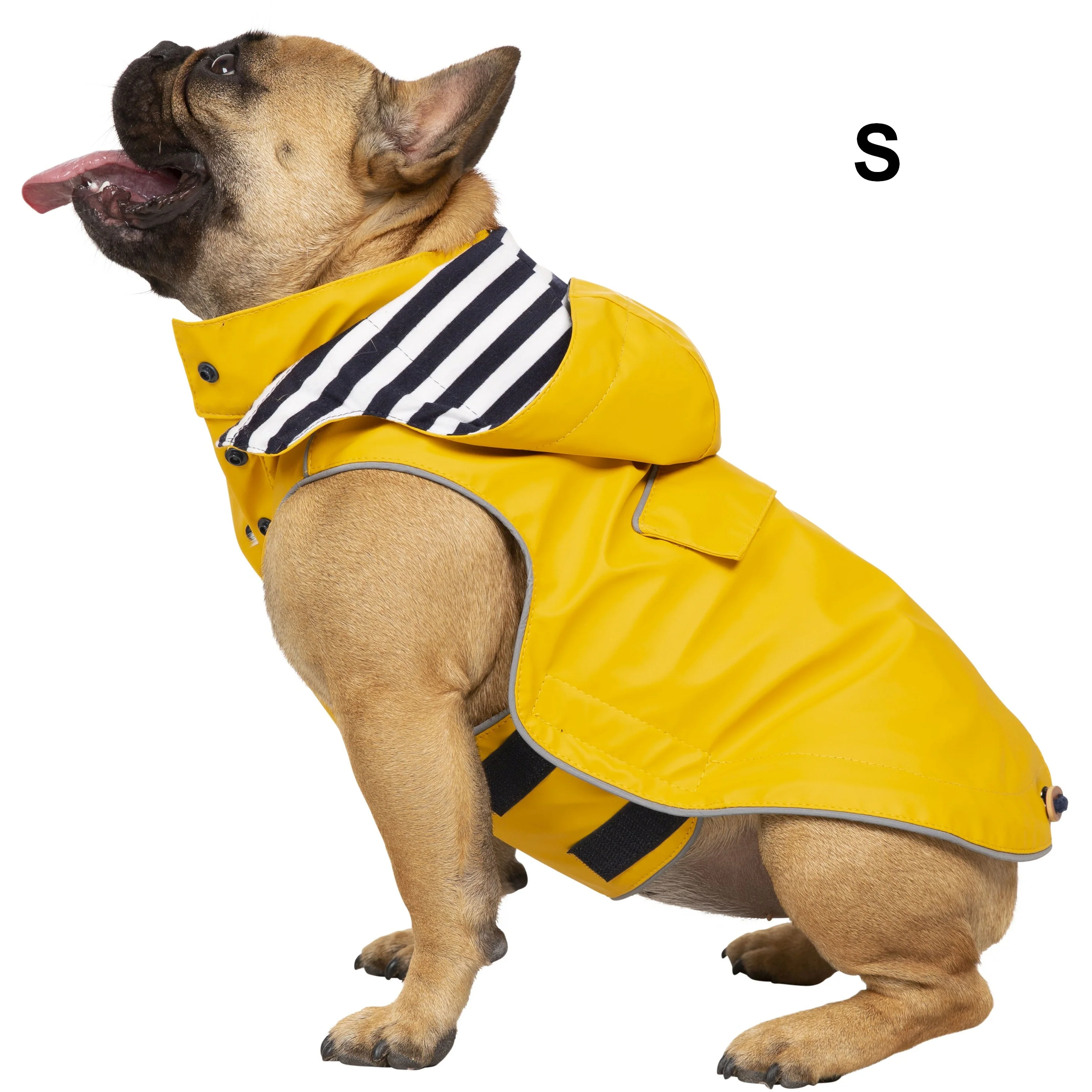 Seadog Dog Raincoat in Sunshine Yellow - Image 7