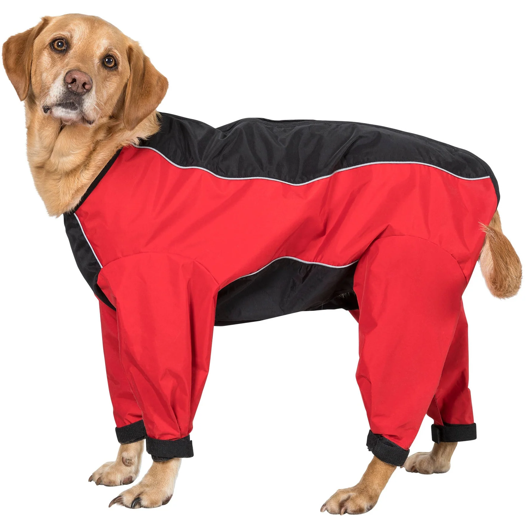 Tia - Dog Coat With Legs - Image 10
