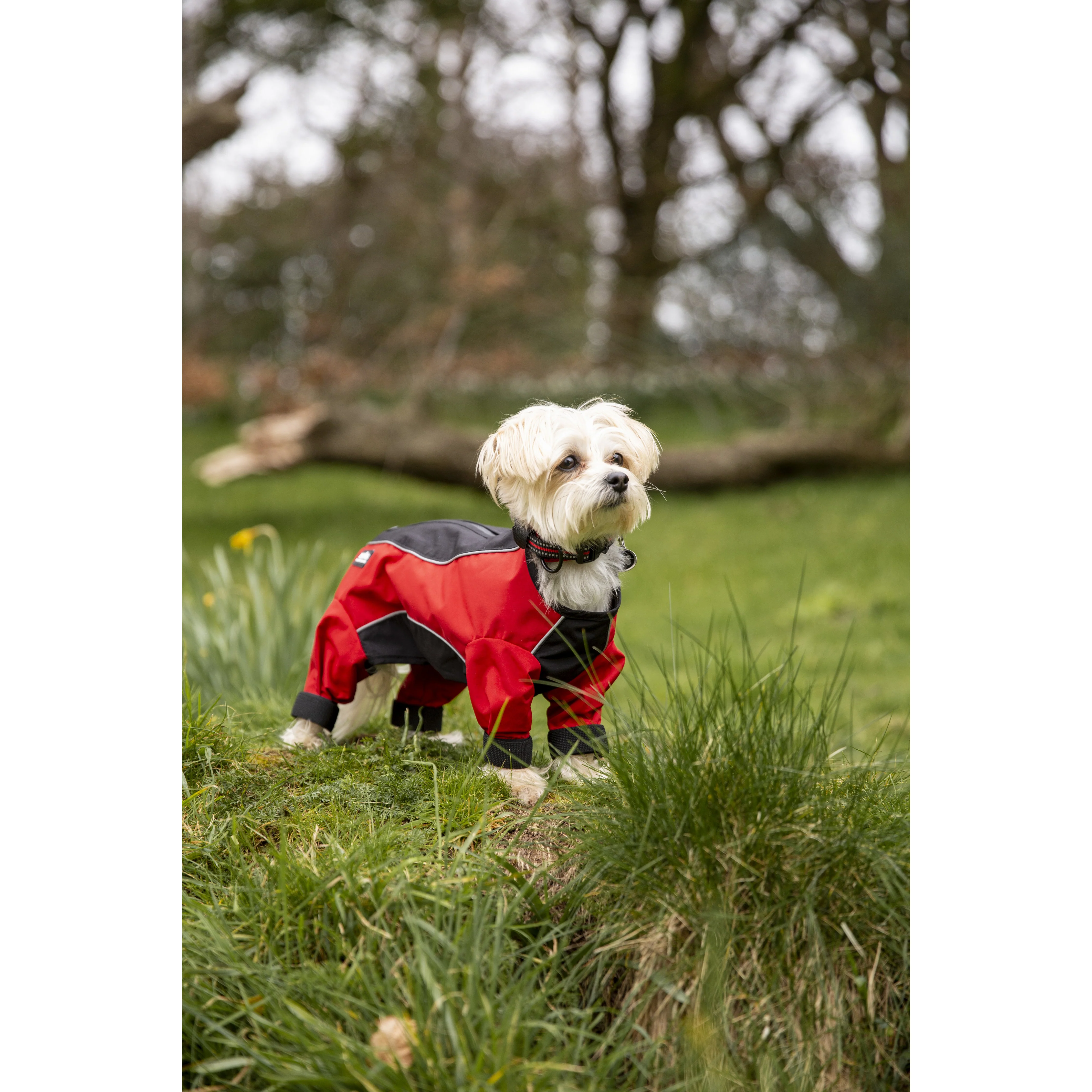 Tia - Dog Coat With Legs - Image 14