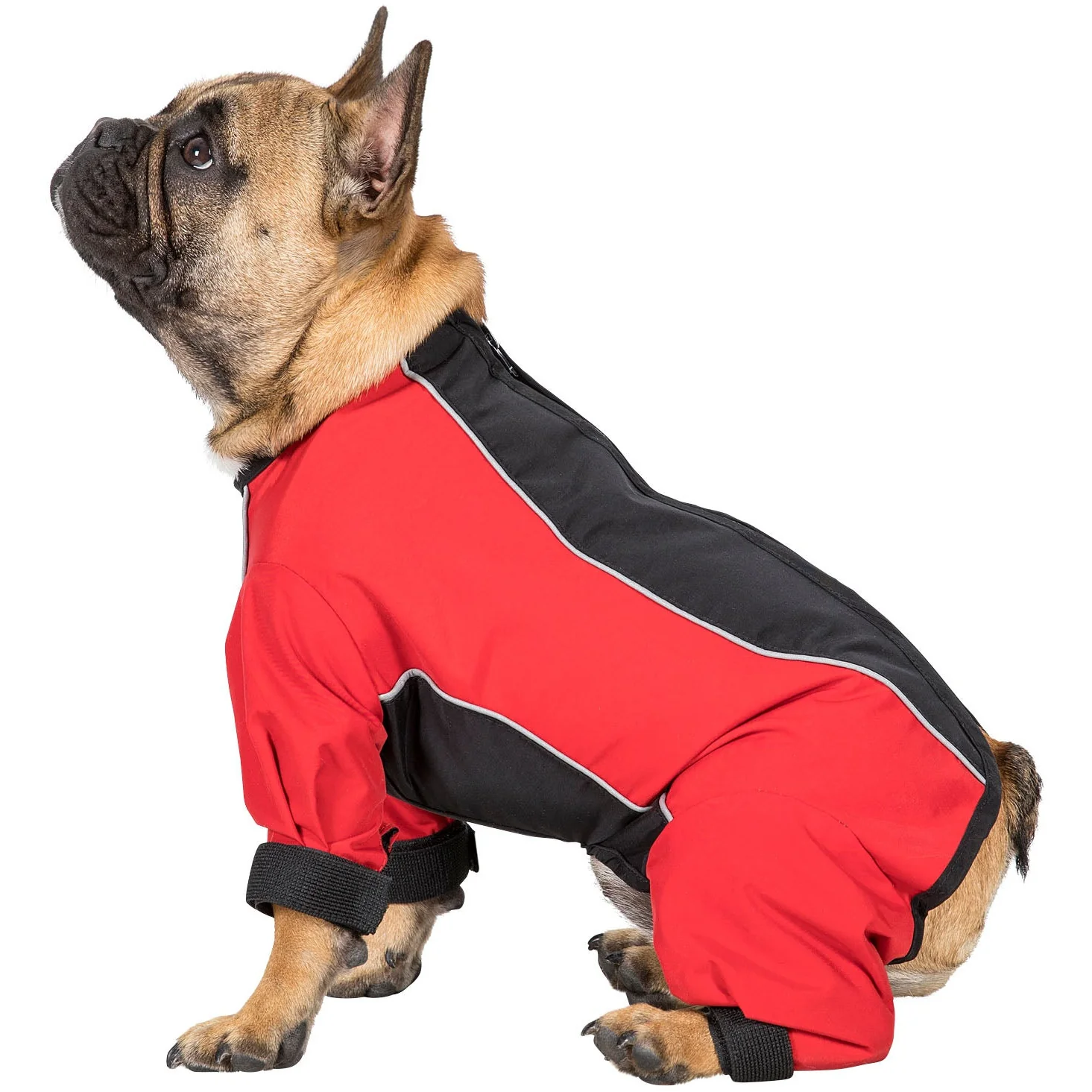 Tia - Dog Coat With Legs - Image 9